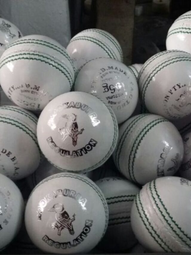 Top 5 Cricket Ball Brands Trusted by International Players