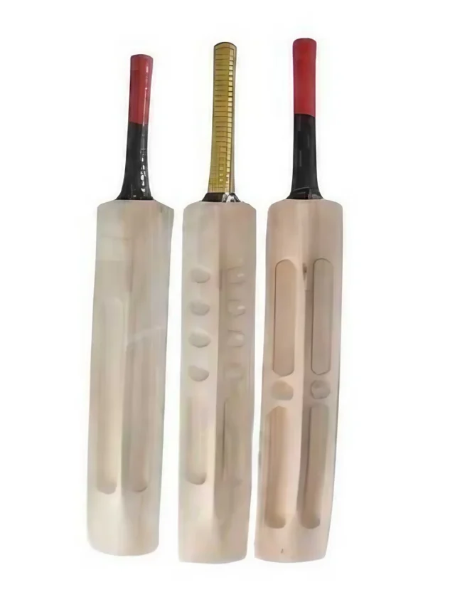 Top 10 bats used by cricketers